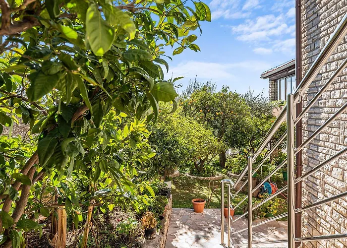 דירה Amazing In With Sauna *